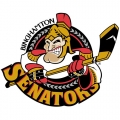 Game Day: Norfolk Admirals @ Binghamton Senators, 7:05 PM EDT, Wednesday, April 6, 2011 315